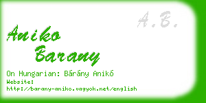 aniko barany business card